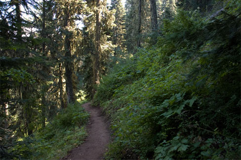 Grizzly-Peak