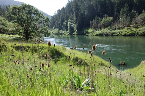 Rogue-River-Trail