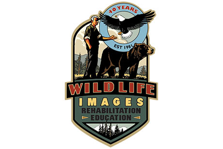 wildlife-images